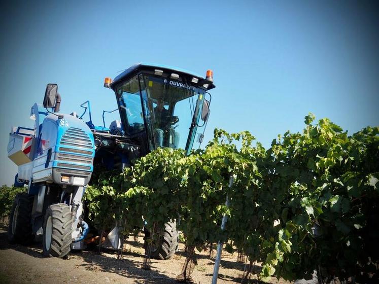 La machine à vendanger.