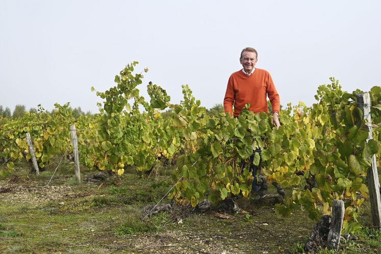 Henry Marionnet est un vigneron passionné qui a su, durant toute sa vie, innover. 