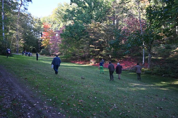  Les adhérents de Fransylva 41 ont pu profiter d'une visite libre d'un arboretum. 