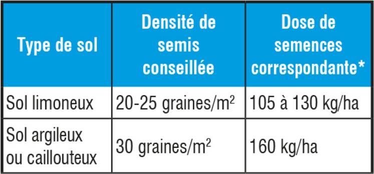 Recommandations de semis de la féverole. *indicatif pour un PMG de 525 g.