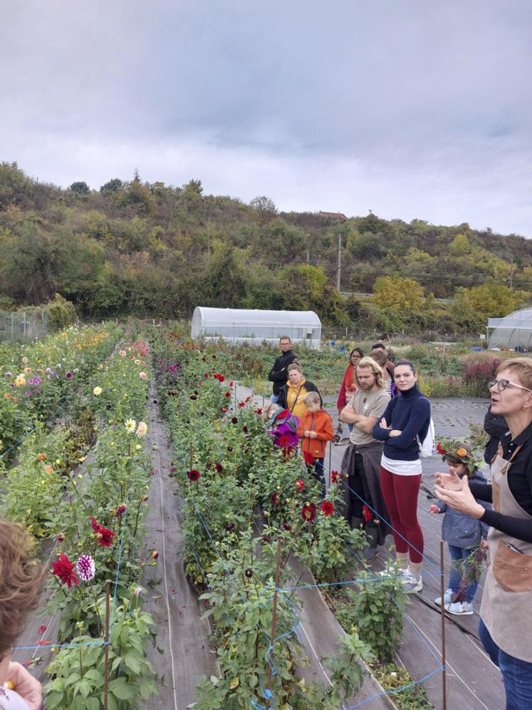 La Grande-Paroisse, samedi 15 octobre. Isabelle Chanclud de Champêtre-Ferme florale des bords de Seine réalise une visite de ses parcelles. Dégustations de fleurs, marché de producteurs et atelier peinture avec des pigments naturels sur biscuits étaient proposés.