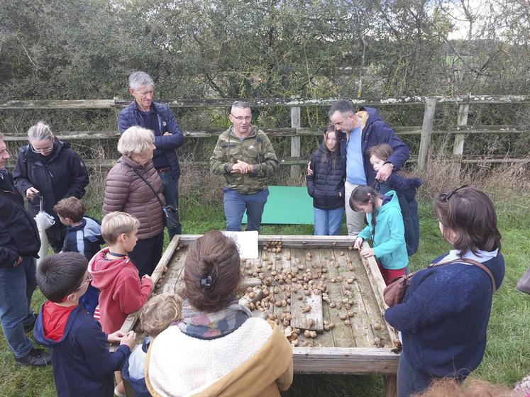 Pamfou, à la Ferme de l'Écluse. À la découverte des escargots de Francine et Pascal Janic.