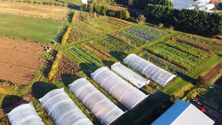 Parcelles pédagogiques dédiées au maraichage bio.