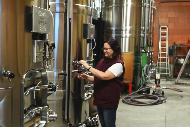 Anne Josseau, gérante du domaine des Tabourelles vinifie elle-même son propre vin et le commercialise depuis sa reprise du domaine familial en 2009.