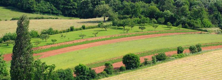 L'Inrae a organisé un colloque de restitution d'une étude sur l'impact de la diversification agricole sur les bioagresseurs.