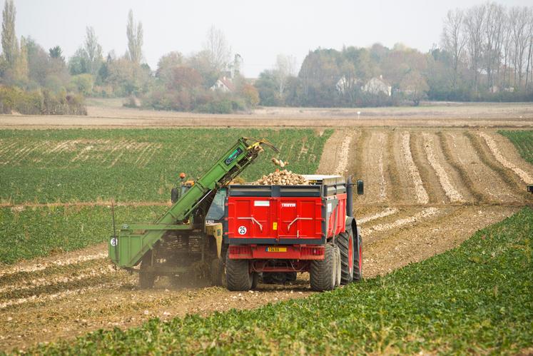 La campagne betteravière a débuté le 15 septembre dans le nord-Loiret.
