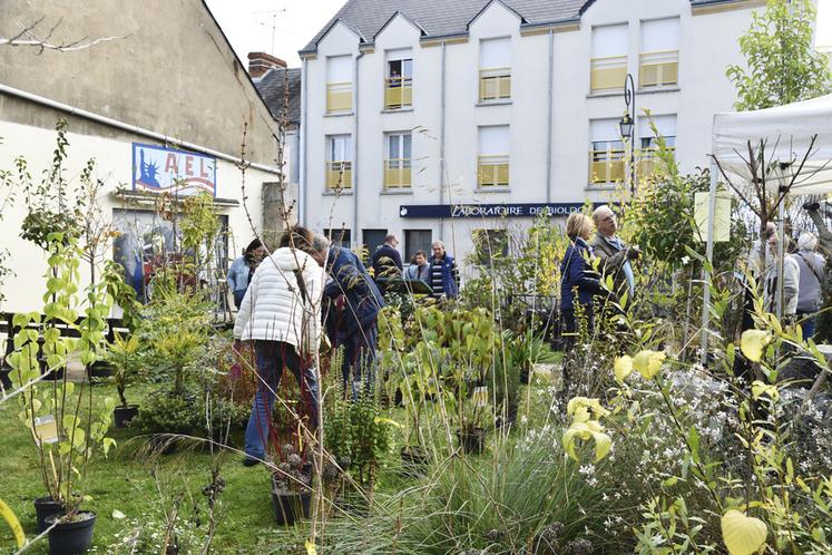 De nombreux visiteurs cherchent la pépite à ajouter dans leur jardin.