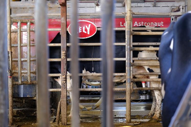 Son installation en tant que JA a permis de bénéficier d'un PCAE pour moderniser les installations de la ferme, avec notamment deux robots de traite Lely.