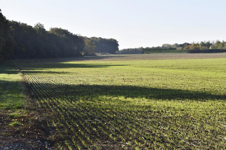 Sauf cas très rare de résiliation judiciaire, le bail à long terme offre l’assurance au preneur d’exploiter pour dix-huit ans minimum les biens loués.