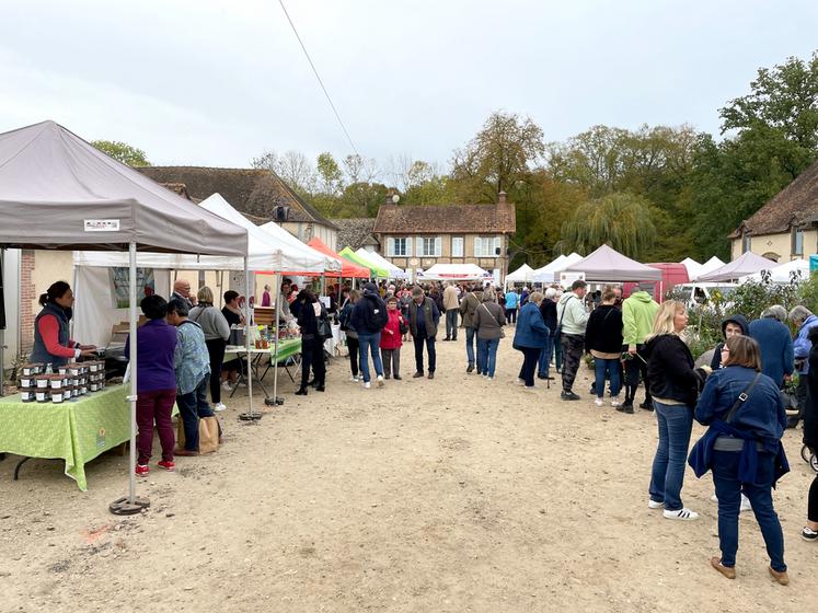 Le 30 octobre, à Broué. Plus de 3 000 personnes se sont déplacées pour fêter le safran de la famille De Smet.