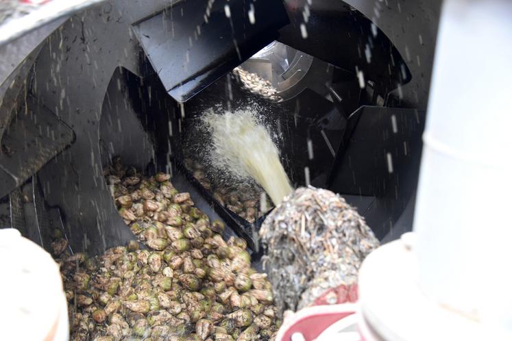 Le nouveau lavoir de la sucrerie, en fonction depuis septembre 2020, a une capacité de 10	000 tonnes.
