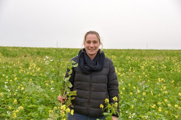 Afin d'offrir un abri à la faune sauvage, Philippine Allard a planté du Sinapis arvensis (moutarde des champs) en bout de champ.