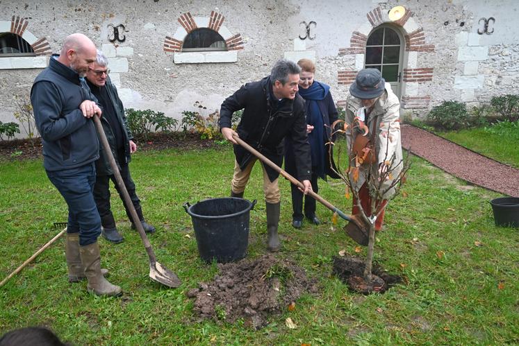 Mercredi 16 novembre, au Domaine de Chaumont-sur-Loire. Deux arbres ont été plantés lors de l'inauguration du Label rouge arbres fruitiers. 