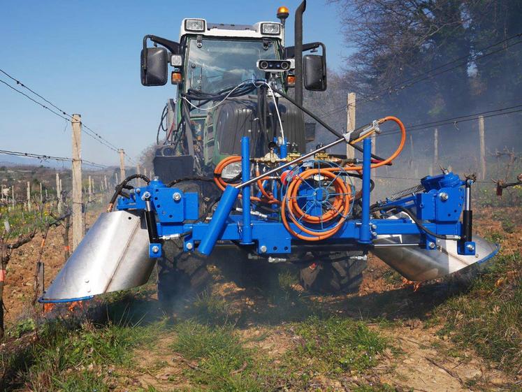 Pour que le traitement thermique fonctionne, il faut que la flamme atteigne les feuilles de la plante.