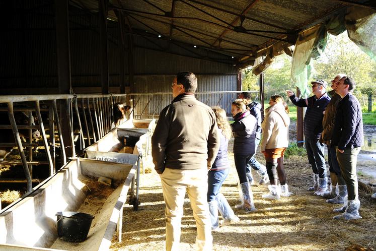 Mardi 22 novembre à La Marolle-en-Sologne, une dizaine d'éleveurs se sont rassemblés pour la demi-journée allaitante organisée par la chambre d'Agriculture.