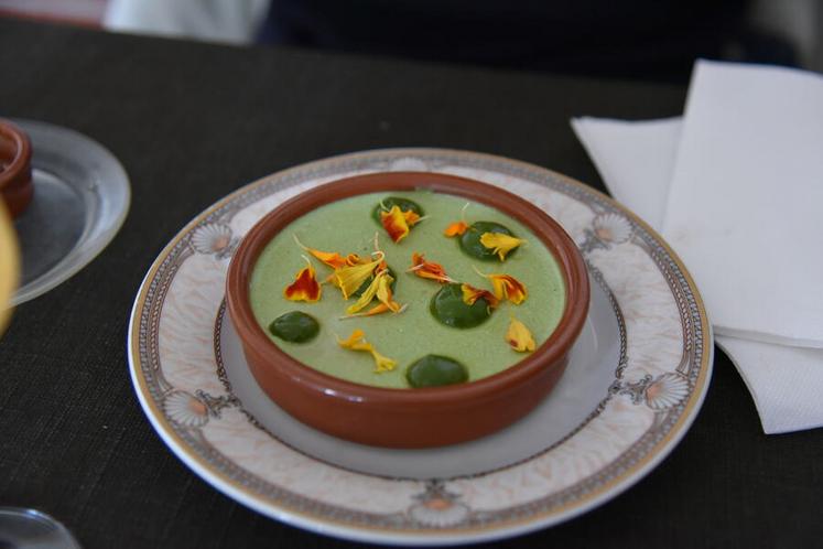 Panacotta de blette et mascarpone.