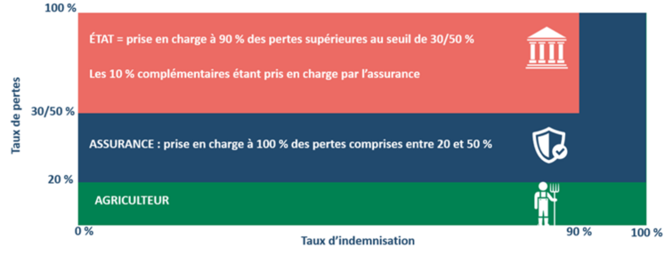 Présentation schématique du cas d’un assuré.