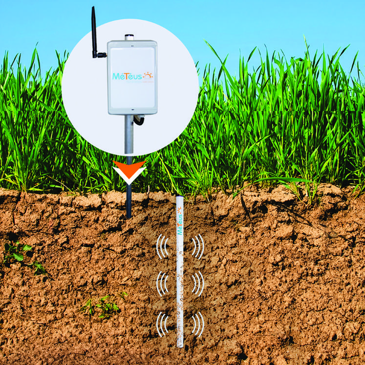 La sonde d'irrigation Météus d’Isagri mesure en temps réel l’humidité du sol.