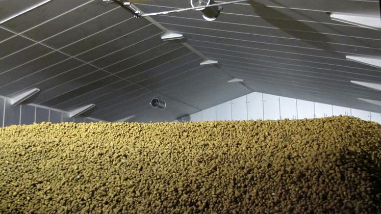 Pour la plupart des stockeurs, le CIPC représentait la seule solution. À la suite de son interdiction européenne, beaucoup se posent encore des questions sur l’utilisation des cinq molécules actives homologuées en France.