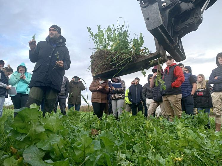 Grâce aux couverts, David Boucher espère pouvoir faire l’impasse sur le labour avant la plantation des pommes de terre au printemps. 