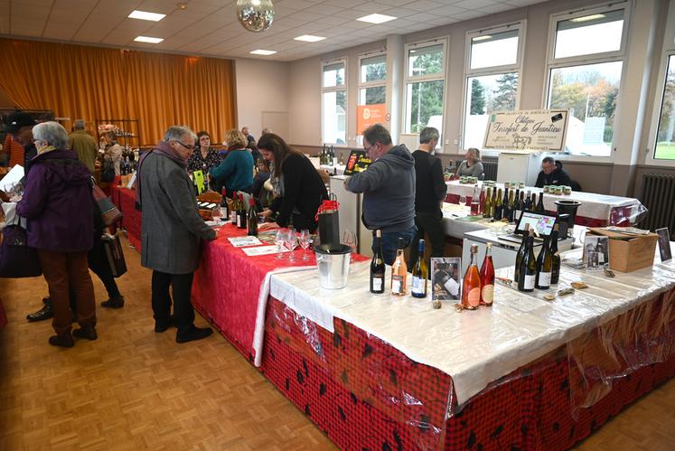 Le week-end dernier à Saint-Lubin-en-Vergonnois. Une douzaine de stands avec des vignerons venus de toute la France ont fait la réussite du Festival des vins.