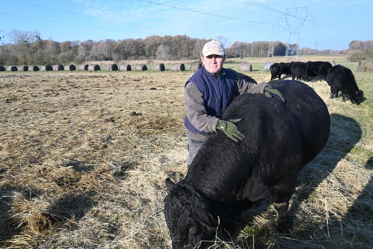 Franck Baechler s'est installé en 2018 après quinze années passées en tant que conseiller à la chambre d’Agriculture de Loir-et-Cher. Il élève des vaches angus en agriculture de conservation.