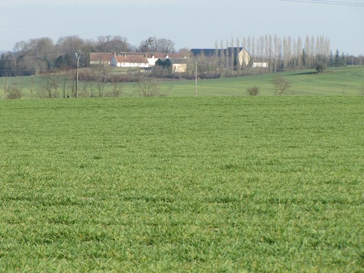 SCI ou GFA, les deux types de sociétés civiles ont une grande liberté de fonctionnement. Toutefois, la loi oblige certaines à tenir une comptabilité dite «	commerciale	».