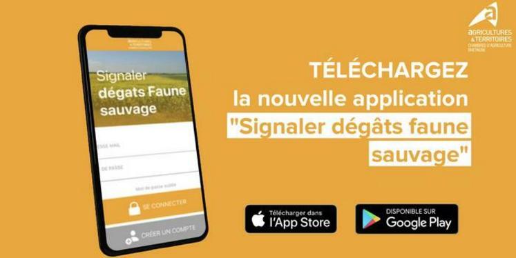 L’application Signaler dégâts faune sauvage permet de géolocaliser, photographier et caractériser les dégâts. Elle est simple d'utilisation.