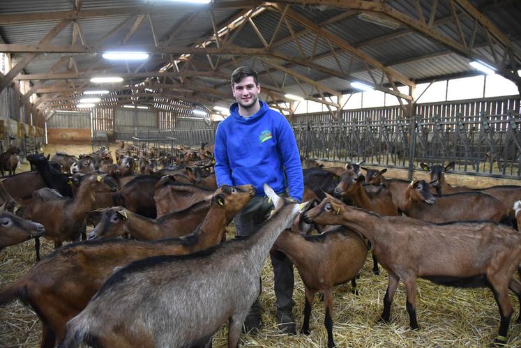 D'abord intéressé par l'élevage de moutons, le jeune agriculteur s'est finalement tourné vers l'élevage de chèvres, représentant un avantage certain dans la production de lait.