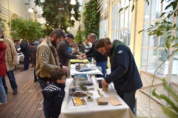 Durant la matinée, 3 kg de truffes étaient classés en première catégorie et 11 kg en deuxième. Près de 5 kg n'ont pas pu être commercialisés à la suite des contrôles (à voir dans notre vidéo).