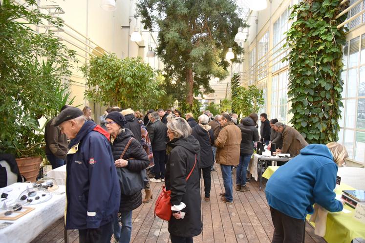 De 9	h	30 à 13 heures, la serre du Jardin des plantes d'Orléans a vu affluer plus de 650 gourmands venus s'approvisionner en truffes de la région.