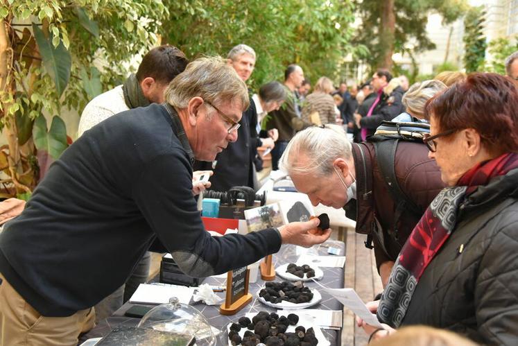 Les plus connaisseurs sentaient leur truffe avant achat. Le parfum est l'une des caractéristiques principales pour reconnaître une bonne truffe.