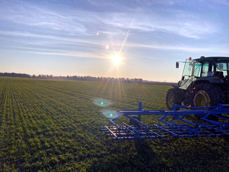 Le JA exploite 90 hectares de cultures en 100	% bio à Épieds-en-Beauce.
