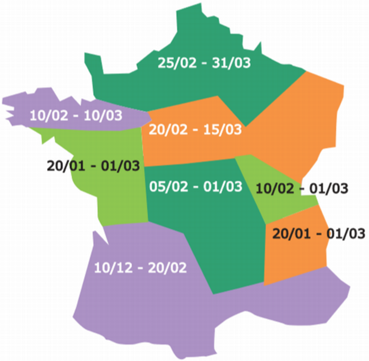 Dates de semis conseillées.