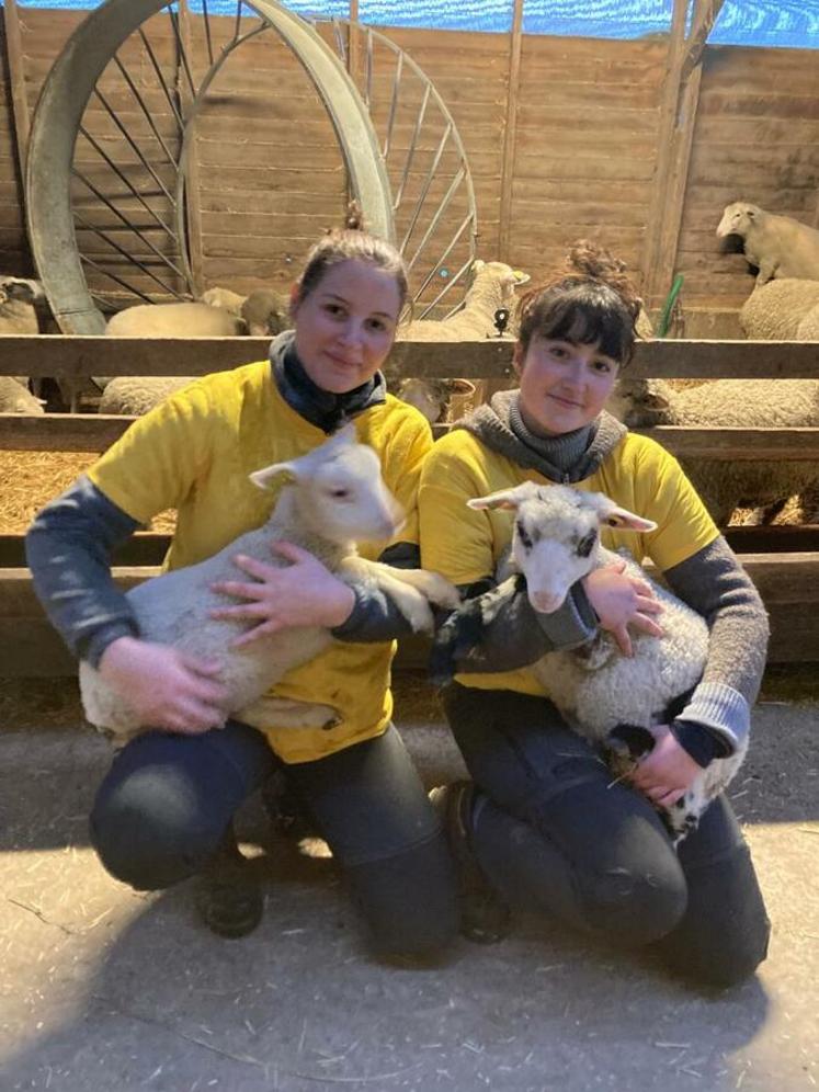 À Rambouillet (Yvelines), le 17 janvier. Caliste Mansuy et Gabrielle Peyron ont remporté la finale régionale des 18es Ovinpiades des jeunes bergers. 