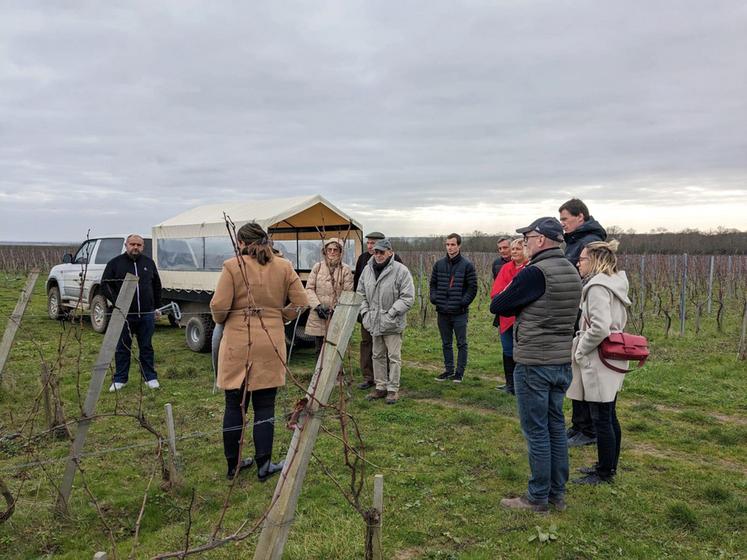 Le 1er février, à Davron (Yvelines). L'assemblée générale du syndicat de Maule a été l'occasion d'une visite de domaine viticole La Bouche du roi.