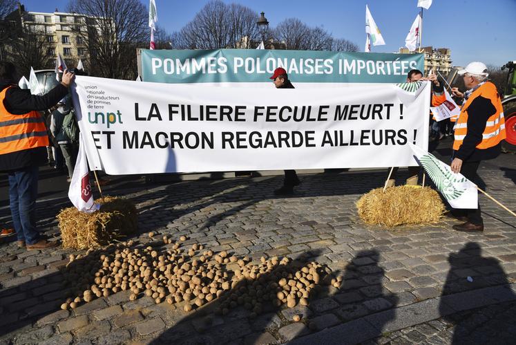 Sur l'esplanade des Invalides, l'ensemble des cultures concernées étaient représentées. Ici, les pommes de terre.