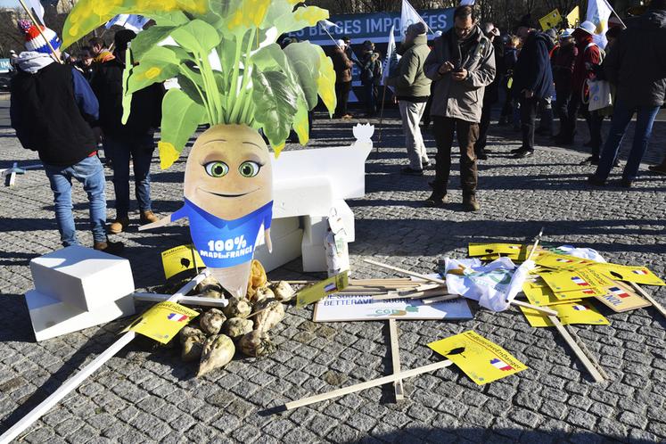 Il en fut de même pour la betterave par exemple.