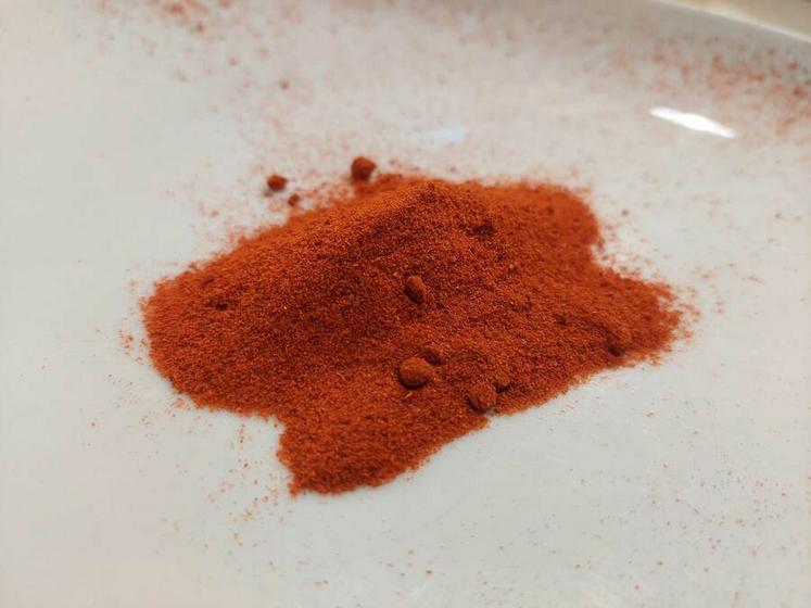 Paprika fort de Hongrie BIO - En poudre