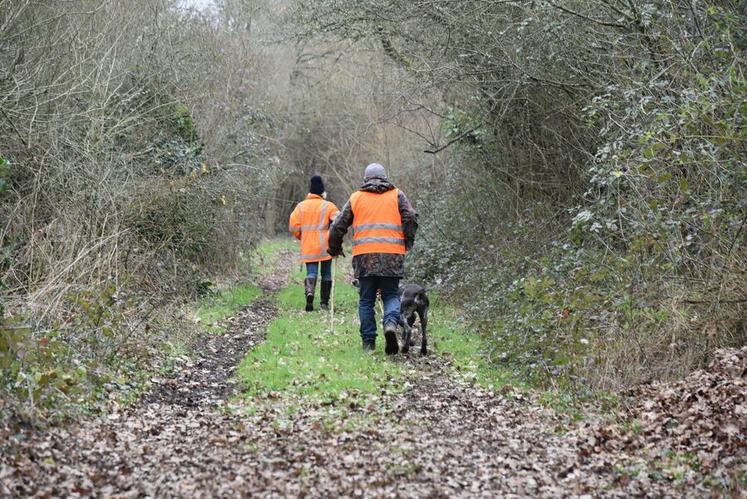 Même si la tendance est à la hausse, les chasseuses sont encore loin d'être majoritaires dans les groupes de chasse.