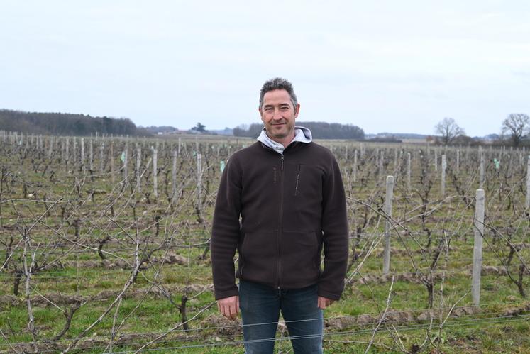 Jérôme Marcadet, vigneron à Feings, est le président de l'ODG de Cheverny/Cour-Cheverny depuis décembre dernier. Il a succédé à Michel Gendrier. 