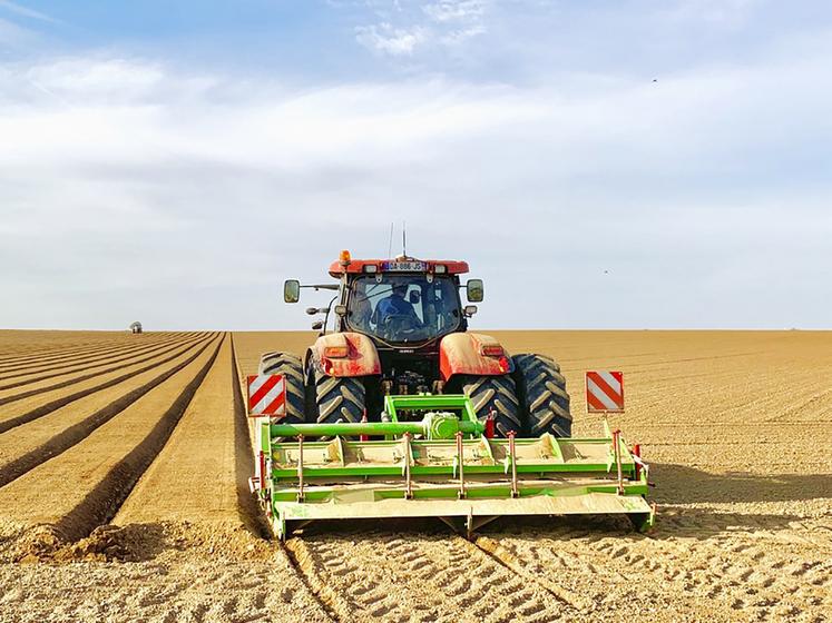 La technique de plantation en billons se pratique généralement pour la production de plants. Nicolas Sainte-Beuve l’a adaptée à sa production de grenailles.