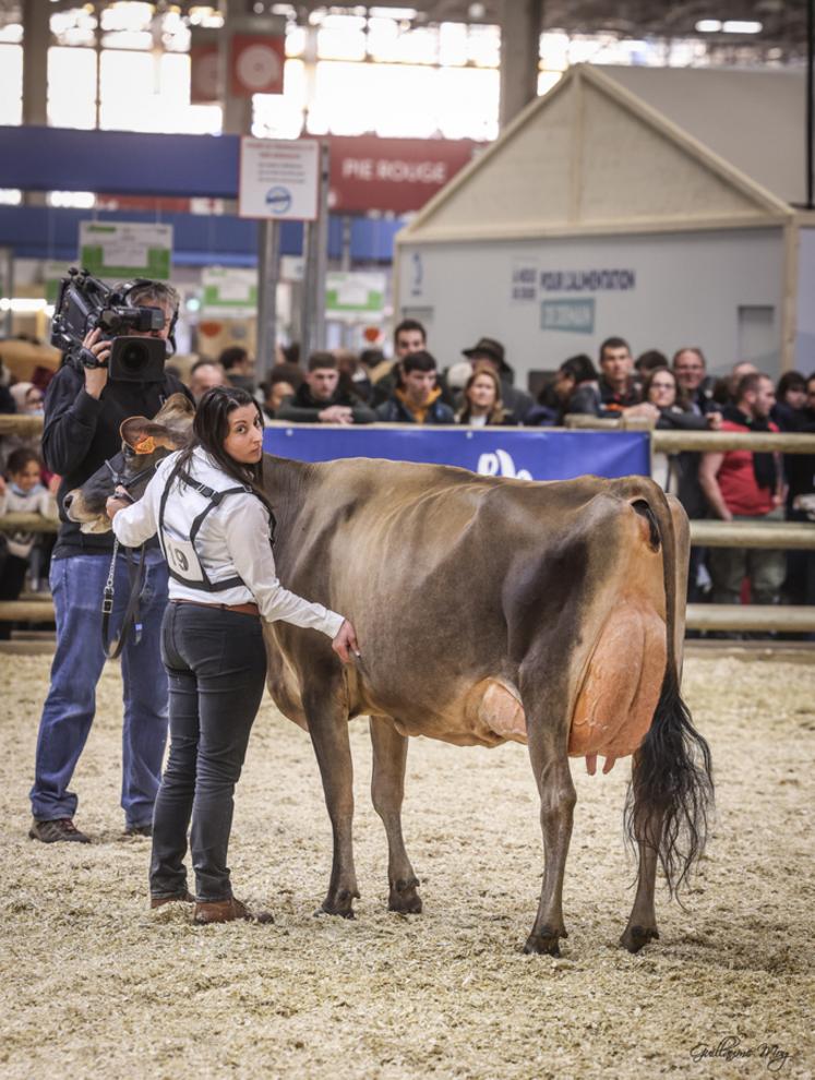 Vendredi 3 mars, au Salon de l'agriculture à Paris. Jers'Hys Kyara a été sacrée grande championne jersiaise.