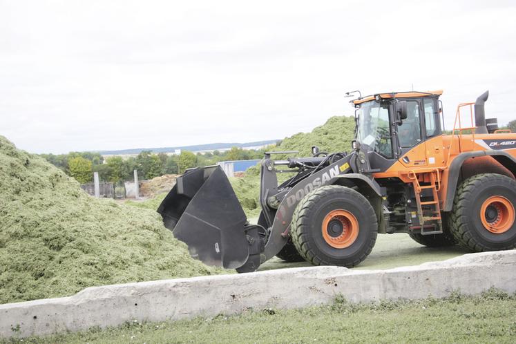 Porté par le projet ++AB, le développement des surfaces et productions bio poursuit son essor : l’an dernier, plus de 20 000 tonnes de luzerne bio ont été commercialisées.