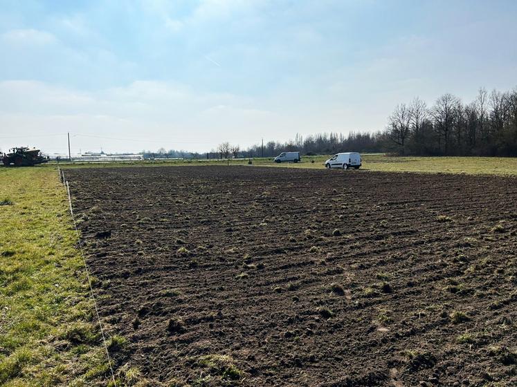 Le 4 mars, à Saint-Jean-de-Braye. 2 000 m2 de cultures ont été semées pour l'événement Festi'ferme qui se déroulera les 17 et 18 juin prochain. 