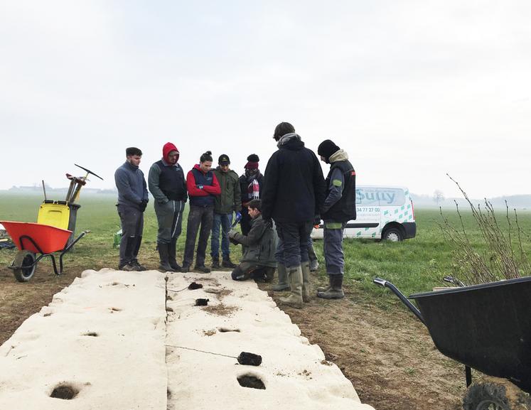 Au Tertre-Saint-Denis (Yvelines), le 16 février. Les élèves de BTS Acse ont participé à la plantation de 400 mètres linéaires de haies sur une exploitation. 