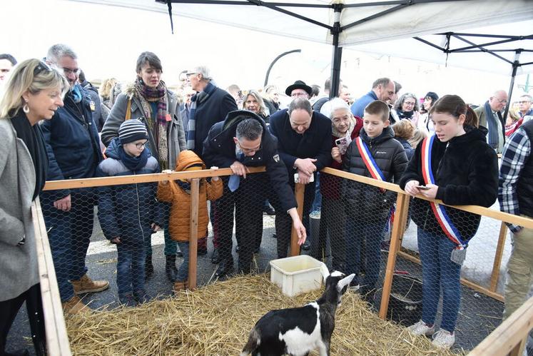 Le maire a salué chaque producteur et éleveur présent. Durant cette tournée des stands, il n'a bien sûr pas oublié nos chers amis à quatre pattes.