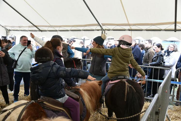 En plus du brossage des poneys, le centre équestre Étrier Wallon a organisé quatre séances d'équithérapie durant lesquelles les enfants de 4 à 8 ans pouvaient se relaxer sur le dos des animaux.