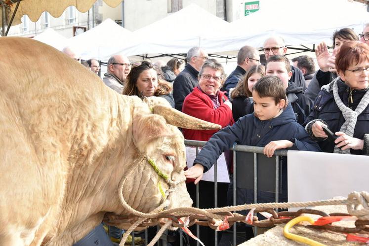 Le taureau de 5 ans et de 1 300 kg d'Hervé Gagnepain a fait sensation. Une belle bête que les visiteurs ont adoré caresser et prendre en photo.
