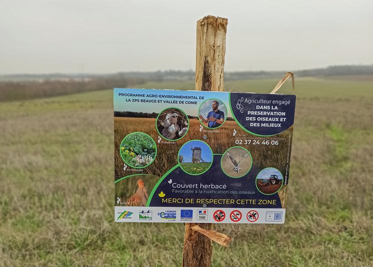 Parmi les cinq Maec ouvertes sur la ZPS Beauce et vallée de la Conie, une concerne l'entretien des pelouses sèches.